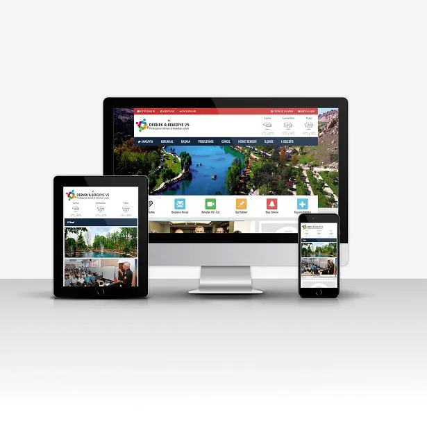 ssociation & Municipality V5