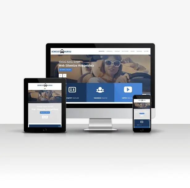 Driving School Script V3