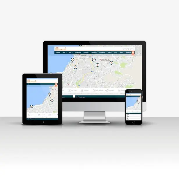 Professional Real Estate Script V1